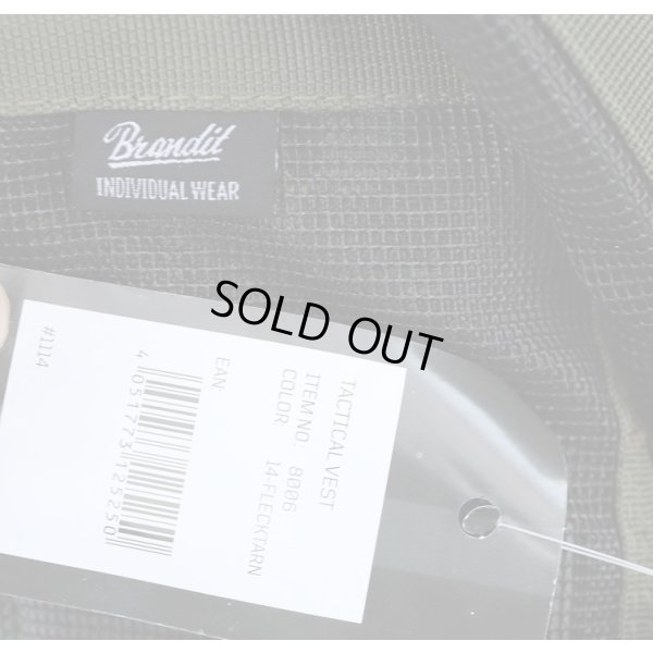 画像4: ブランディット製P83型アサルトベスト ドイツ連邦軍フレクター迷彩新品