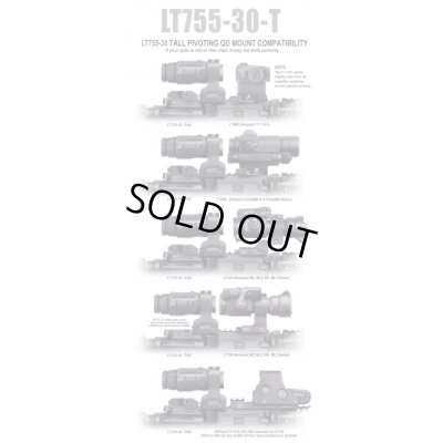 画像7: 米法執行機関放出ラルーLT755-30Tエイムポイント3X用マウント黒