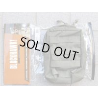 ブラックホークSTRIKEアップライトGPポーチRG新品
