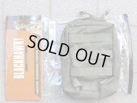 ブラックホークSTRIKEアップライトGPポーチRG新品