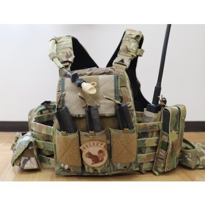 画像6: 受注生産◆当店オリジナル品CRYE AVS用パラクレイト型ベルクロ付きトリプルマガジンポーチフラップ新品