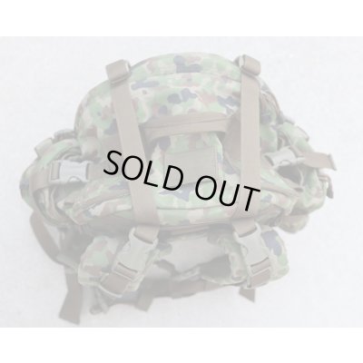 画像4: LEMアサルトパック陸上自衛隊迷彩