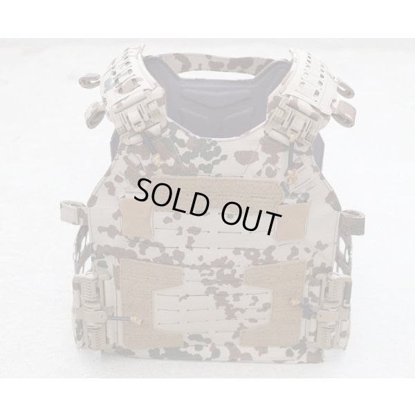 画像1: Templars Gear製CPC ROCプレートキャリア ドイツ連邦軍デザートフレクター迷彩(ヴィステン迷彩)LARGE新品