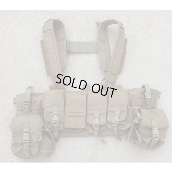 画像1: 米軍イーグル プロトタイプ マルチパーパスチェストリグ カーキ新品