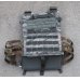 画像5: 受注生産◆JPC・LBT-6094・MBAV用スケルトンカマーバンド新品