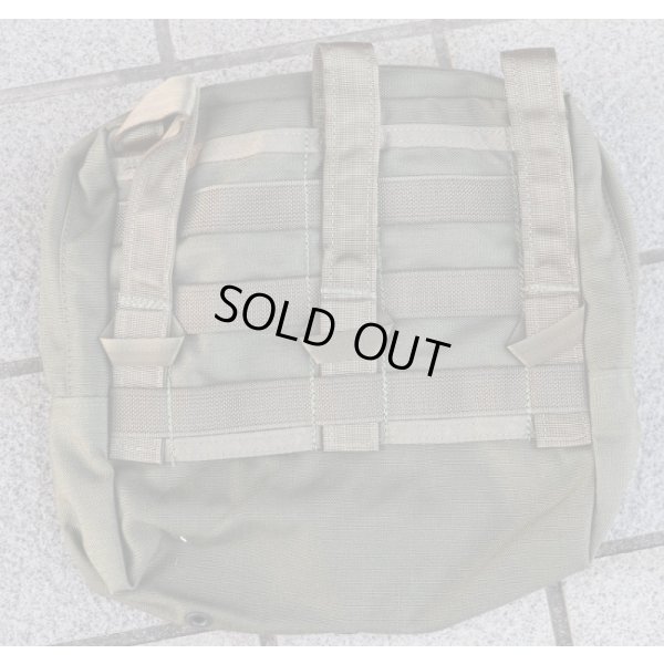画像2: 米軍放出パラクレイト ラージGPポーチSG新品