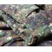 画像6: フィリピン軍 海軍海兵隊 戦闘服ジャケットPHILMARPAT迷彩ジャケット徽章付