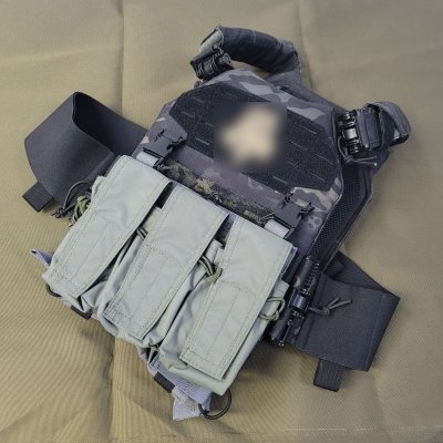 画像10: LMG BSGプレートキャリアmk.2S陸上自衛隊迷彩LARGE新品