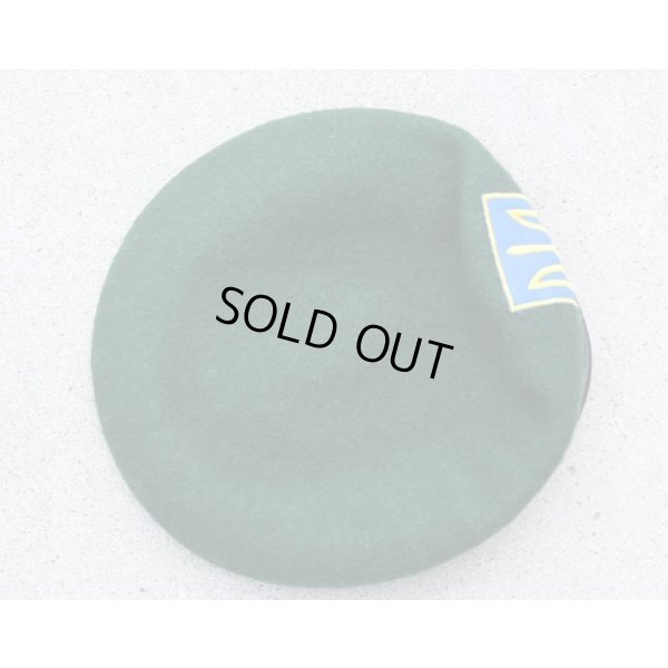 画像2: ウクライナ軍忍者部隊放出グリーンベレー