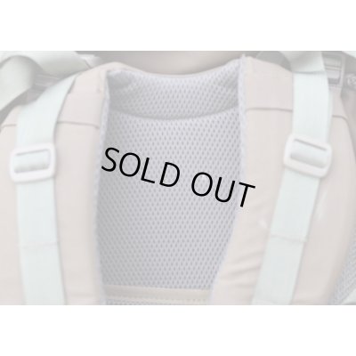 画像10: 米軍ミステリーランチSATLブリッジャーアサルトパック初期型コヨーテMEDIUM