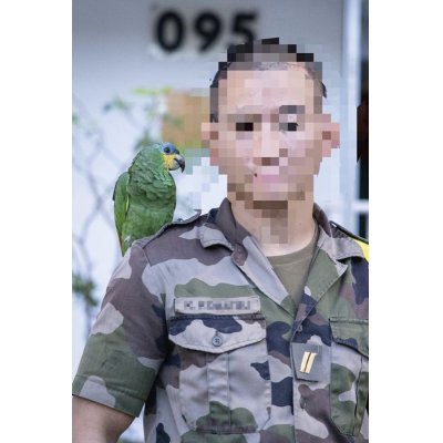 画像5: フランス外人部隊日本人兵士放出 半袖シャツCCE迷彩37/38