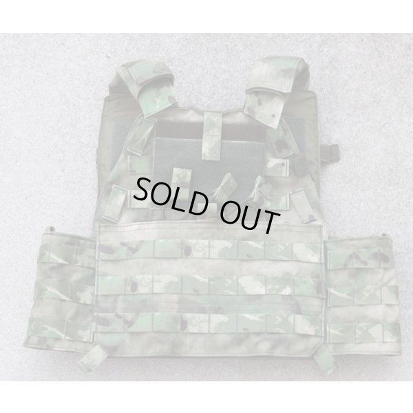 画像1: WARTECH TV-103プレートキャリアA-TACS FG迷彩サイズB新品