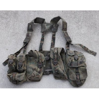 画像1: スペイン軍アサルトベスト リーフ迷彩