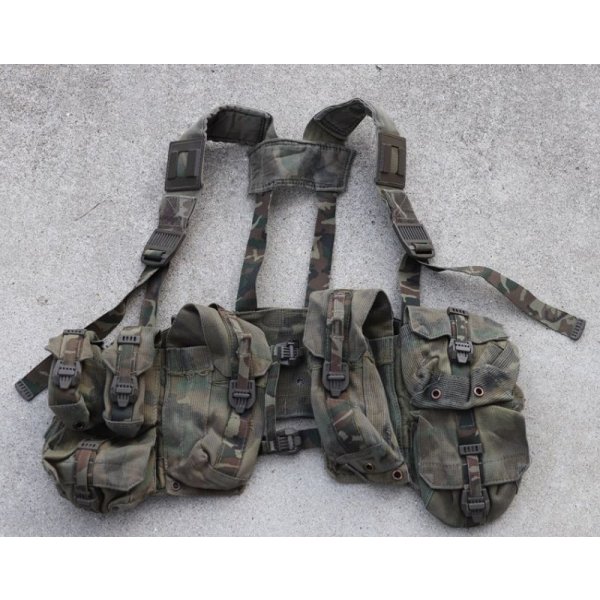 画像1: スペイン軍アサルトベスト リーフ迷彩