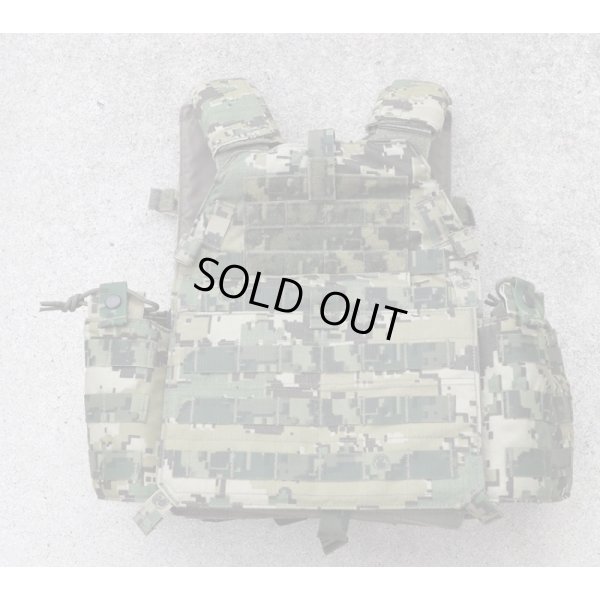 画像1: メキシコ軍 海軍海兵隊LBT・Protactic LBT-6094A型プレートキャリアUS4CES迷彩 新品