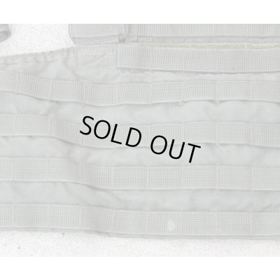 画像3: 米軍イーグルRLCSローデシアンリーコンベスト(RRV)RG