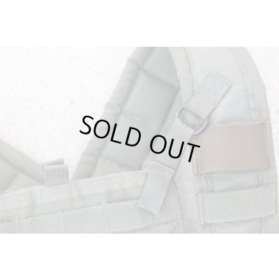 画像6: 米軍イーグルRLCSローデシアンリーコンベスト(RRV)RG