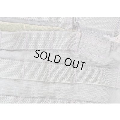 画像5: 米軍イーグルRLCSローデシアンリーコンベスト(RRV)RG