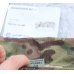 画像5: CryeモジュラーリガーベルトMULTICAM迷彩SMALL新品