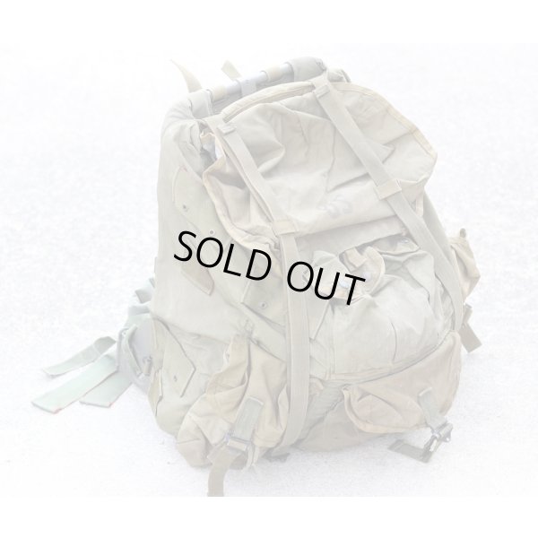 画像1: 米軍アリスパックL(LC-1フィールドパック ラージ)OD