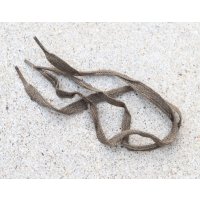 NVA(東ドイツ軍)肩章取り付け用ヒモ2本セット新品