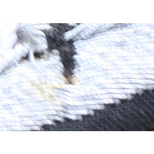 画像3: NVA(東ドイツ軍)陸軍士官用襟章2枚セット新品