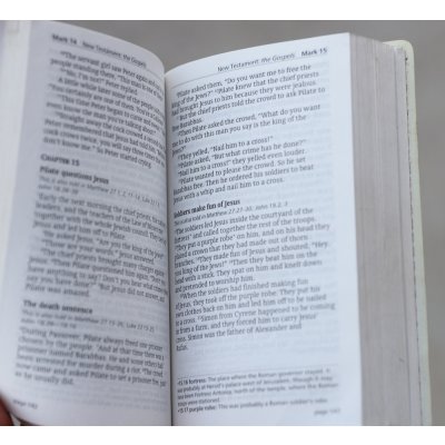 画像6: 英軍陸軍 新約聖書DPM迷彩