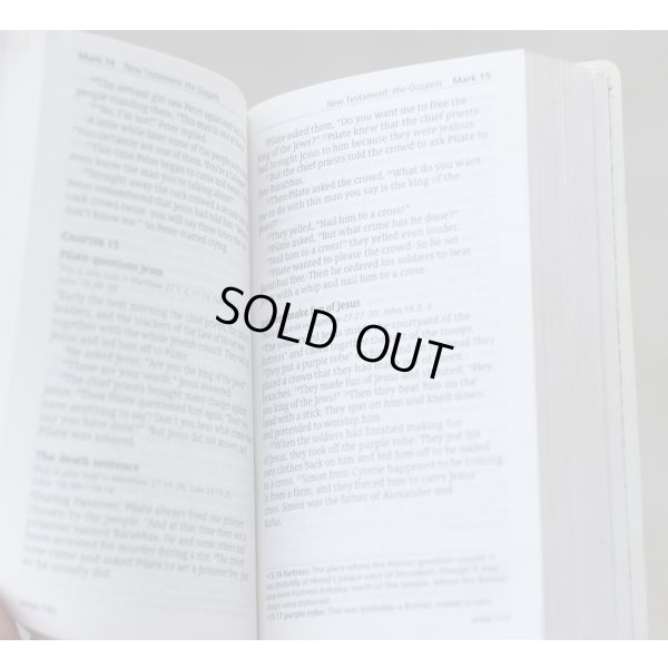 画像6: 英軍陸軍 新約聖書DPM迷彩