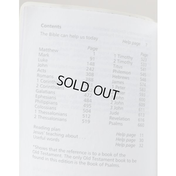 画像4: 英軍陸軍 新約聖書DPM迷彩