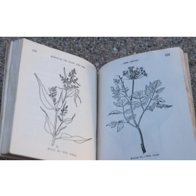 画像10: 米軍 米海軍航空隊 第二次世界大戦サバイバルマニュアル