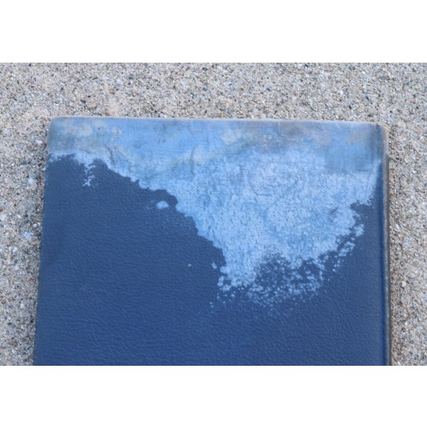 画像6: 米軍 米海軍 第二次世界大戦 航空隊1945年訓練部隊アルバム