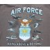 画像4: ギルダン米空軍TシャツLARGE (4)