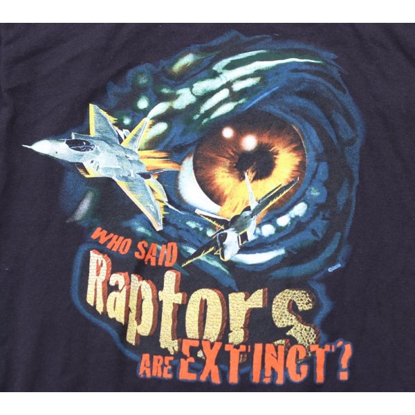 画像3: ヘインズ F-22ラプターTシャツ黒SMALL