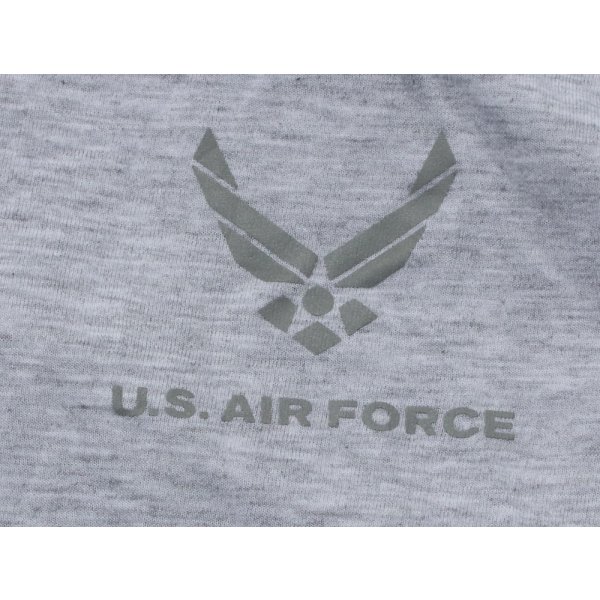 画像4: 米軍 米空軍PTUトレーニングTシャツ