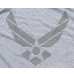 画像5: 米軍 米空軍PTUトレーニングTシャツ (5)