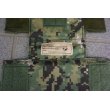 画像3: 米軍イーグルAOR2迷彩ナイトビジョンインサート新品 (3)