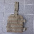 画像1: 米軍放出LBT-9004AレッグプラットホームCB（コヨーテブラウン）新品 (1)