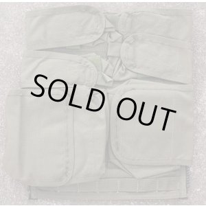 画像: パラクレイト バックパネルSGプレMSAロット新品