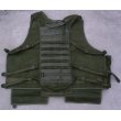 画像2: Tasmanian Tiger製アムニションベストOD 新品 (2)