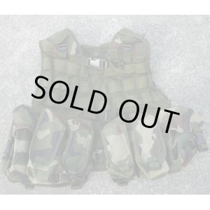 画像: アイルランド軍Paddyflage迷彩アサルトベスト