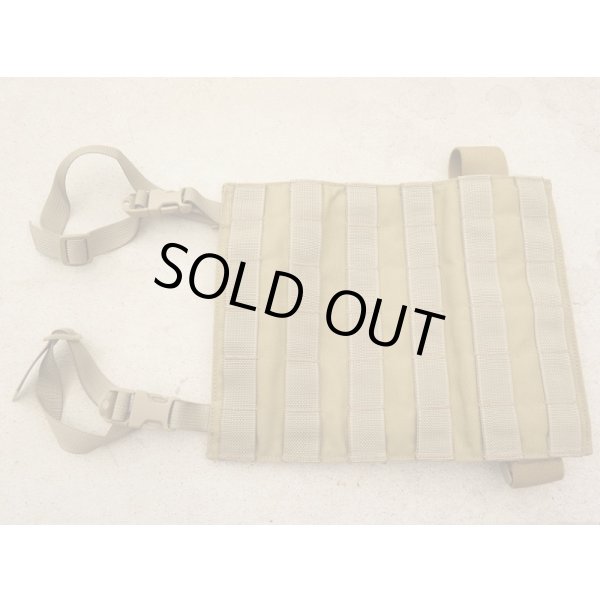 画像1: 米軍放出イーグル レッグパネル カーキ新品 (1)