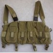 画像1: 米軍放出LBT-0290DチェストリグOD新品 (1)