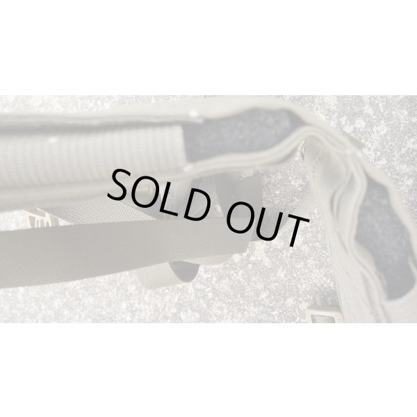 画像5: 米軍イーグルRLCS HハーネスRG新品 (5)