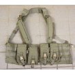 画像1: 米軍イーグルRLCSマルチパーパスチェストリグRG新品 (1)