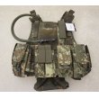 画像1: MFH製イーグルMBAV型ベスト ドイツ連邦軍フレクター迷彩(フレック迷彩)ポーチ6個・ハイドレーション付き新品 (1)