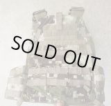 画像: LBX-0094プレートキャリア名誉迷彩 新品
