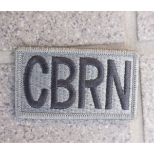 画像: 米軍 米陸軍ACU（UCP迷彩）用CBRN徽章 新品