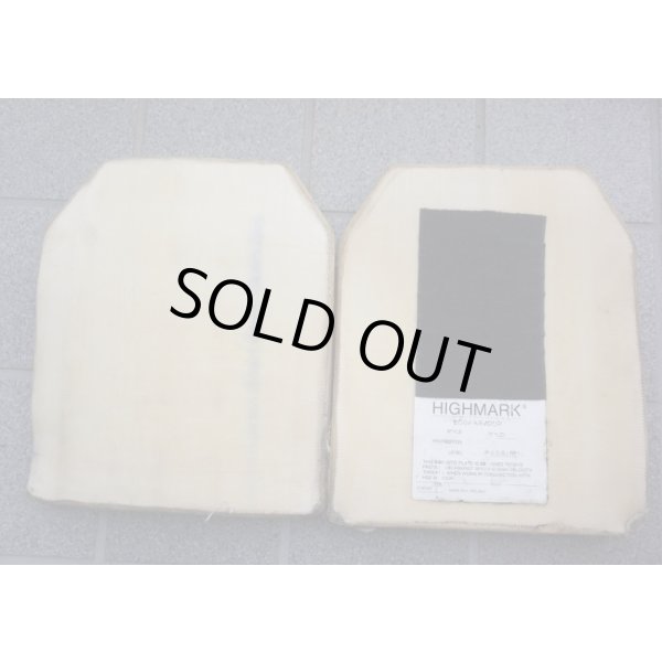 画像5: 英軍放出ブラックホーク製プレートキャリア黒ハイマーク製プレート・Hellweg製ダブルピストルマガジンポーチ付き (5)