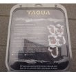 画像3: Tagua Gunleather製ヒップホルスター デザートイーグル用 新品 (3)