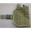 画像1: 米軍放出SPECTER GEARレッグパネルOD新品 (1)